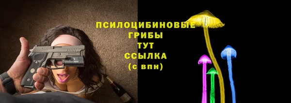 крисы Кукмор