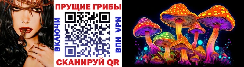 Галлюциногенные грибы мицелий  Купить где  Урюпинск 